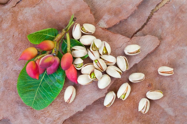 Unripe pistachios and pistachios in shells on a textured surface.