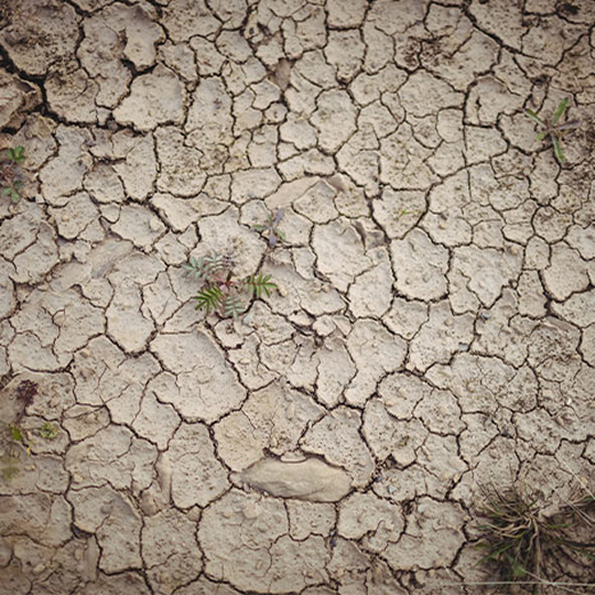 MyLand_cover-1080x1080-point5_saline-sodic-soils