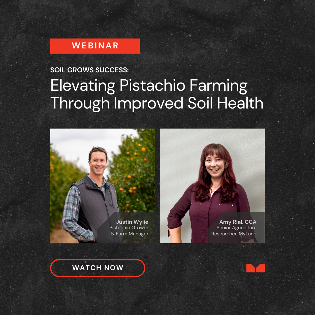Pistachio Webinar IG Pistachio Webinar IG