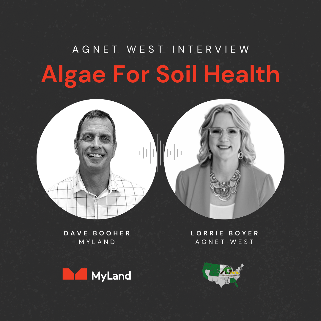 agnetwest interview algae-1